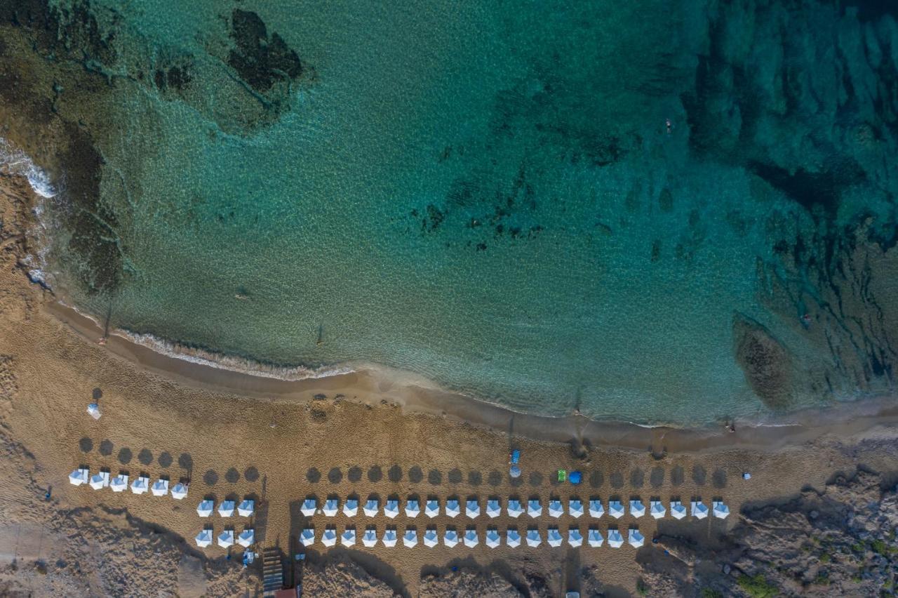 Ifestos Kings Resort Appartment Paphos 外观 照片