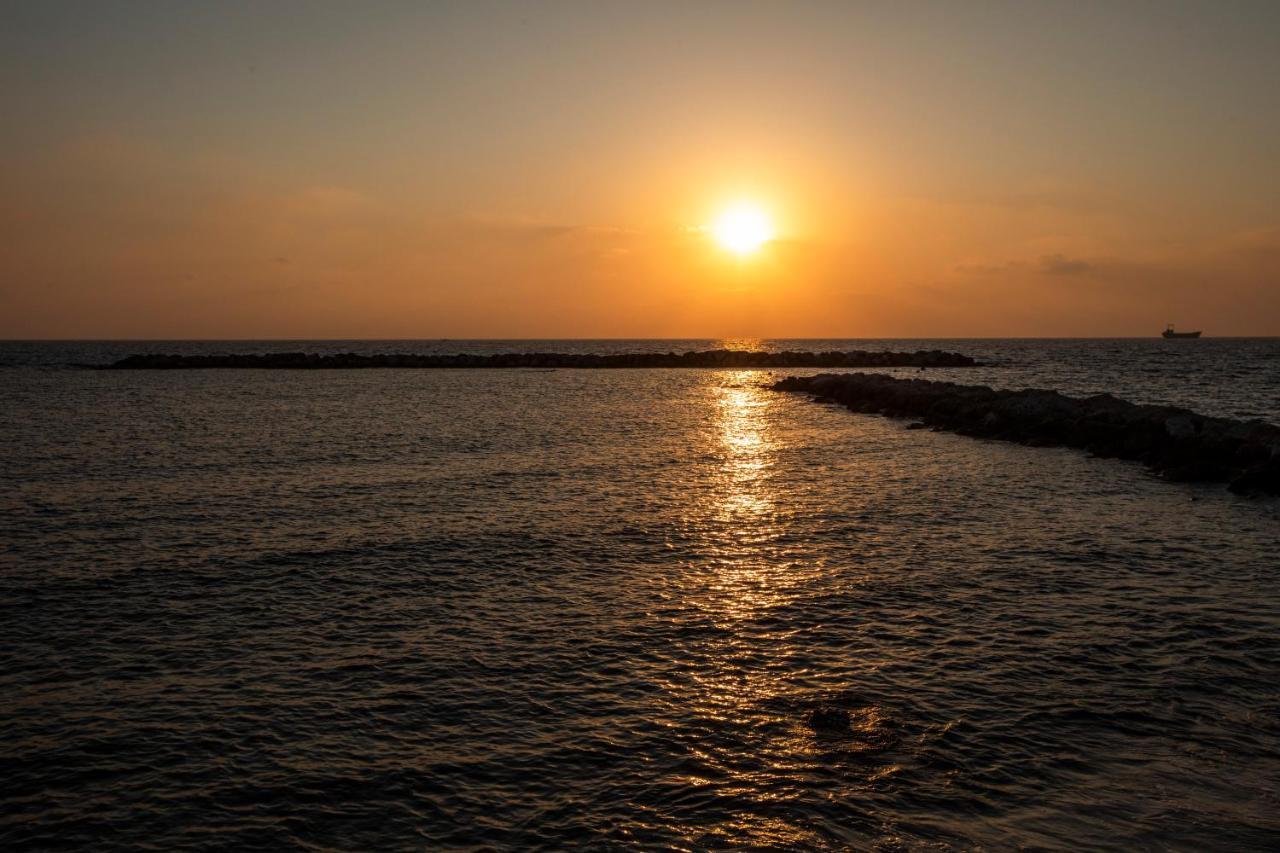 Ifestos Kings Resort Appartment Paphos 外观 照片